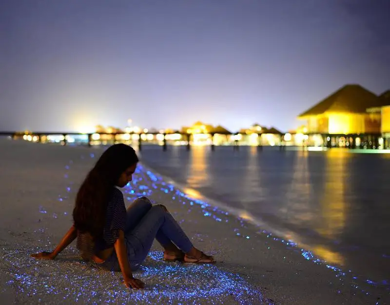glowing-beach-maldives-lankanfushi