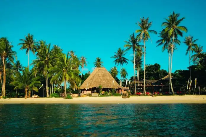 palms-beach-thailand