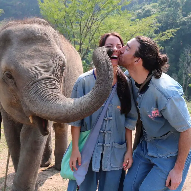 blue-elephant-sanctuary-thailand