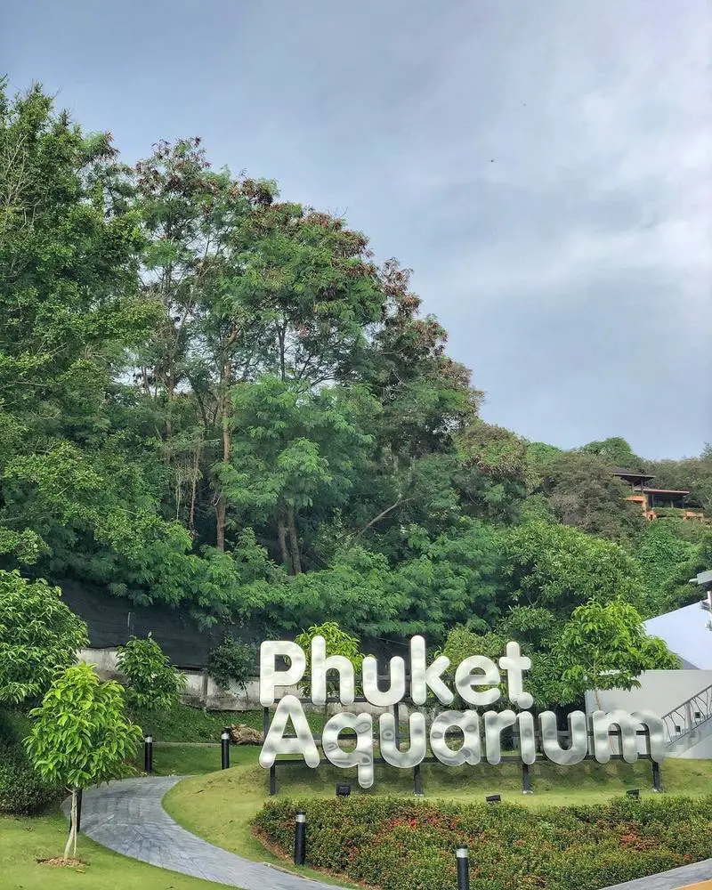 phuket-aquarium-thailand