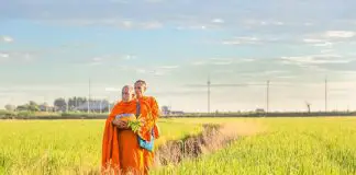 monks-in-field