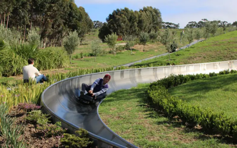 bobsled going along a tabogganing track