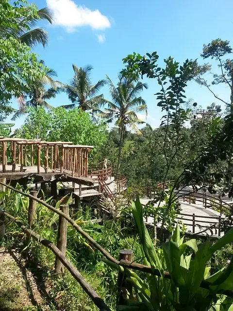 bali-treetop-adventure-park
