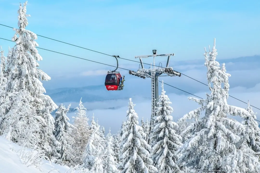 Cable car over ski slopes and tree lines