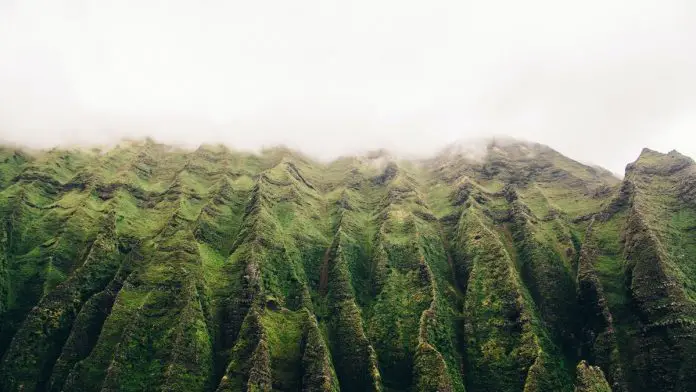kauai mountains lush green