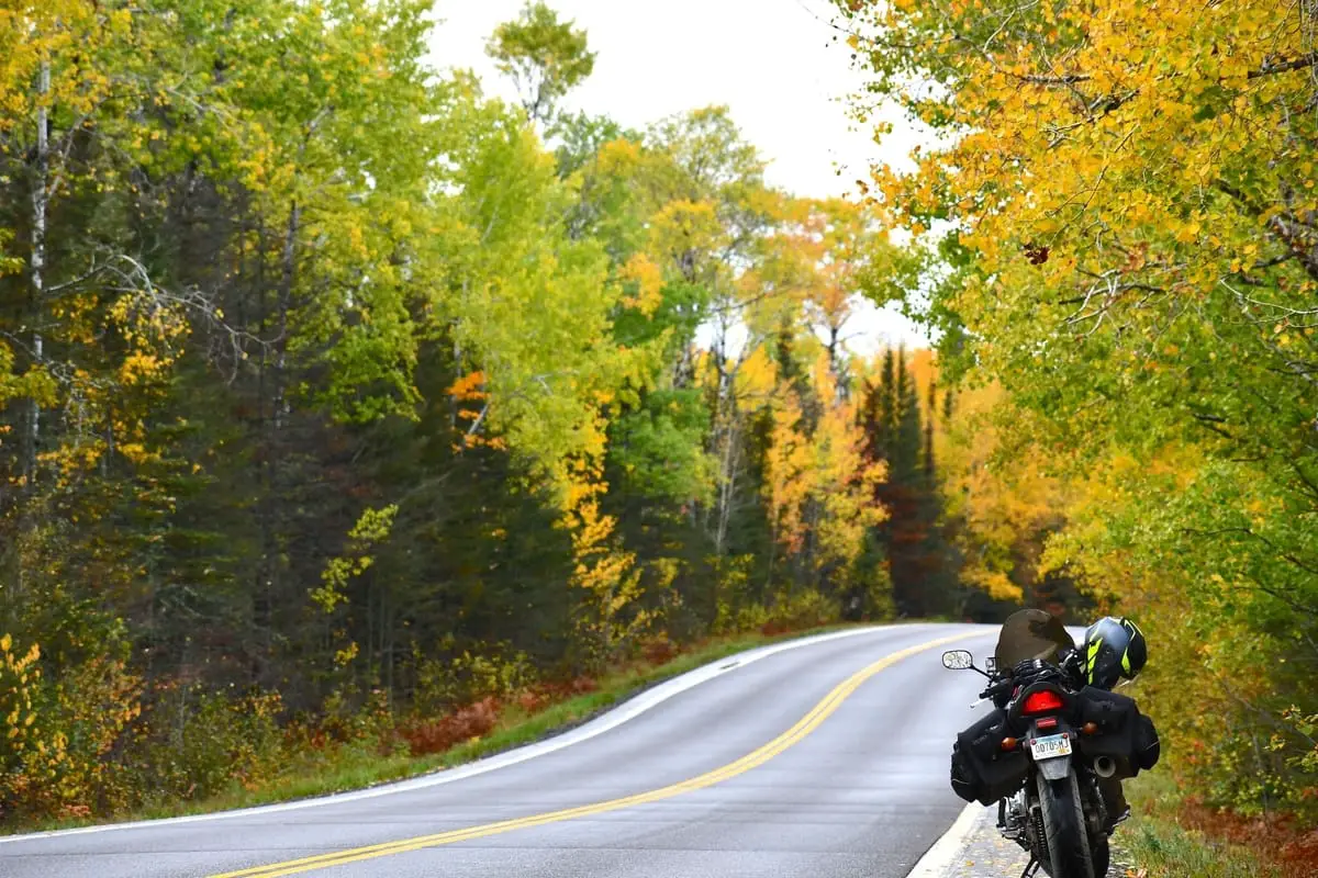 Autumn trees motorcycle road