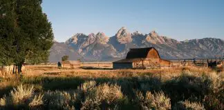 Wyoming field and mountain landscape with barn