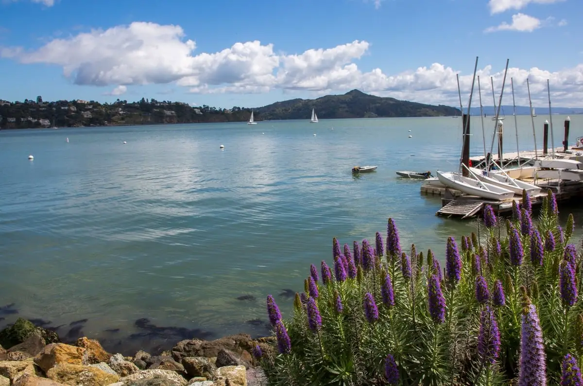 sausalito-places-to-visit-bay-area