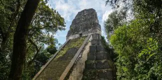 Mayan Tikal temple in a jungle in Guatemala
